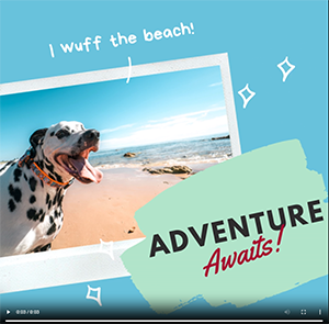 Adventure Awaits Email Gif